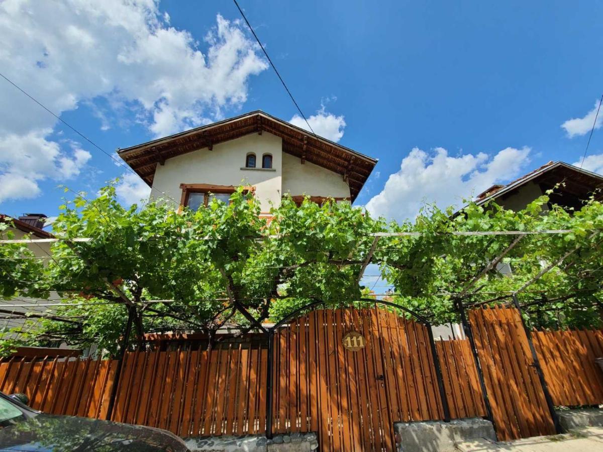 Вила 111 Sapareva Bania Exterior foto